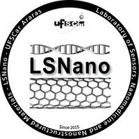 Logo LSNano
