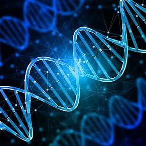 DNA