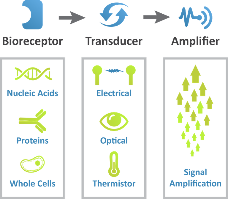 Immunosensors