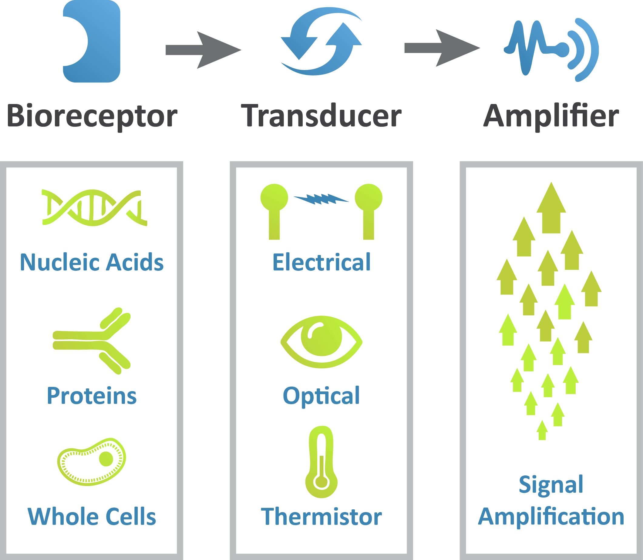 Immunosensors