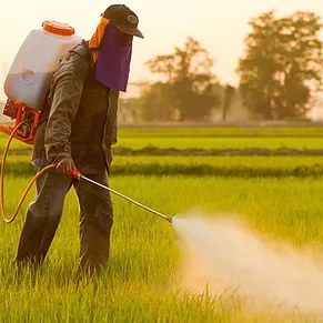 Pesticides