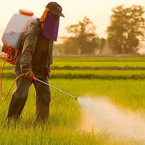 Pesticides